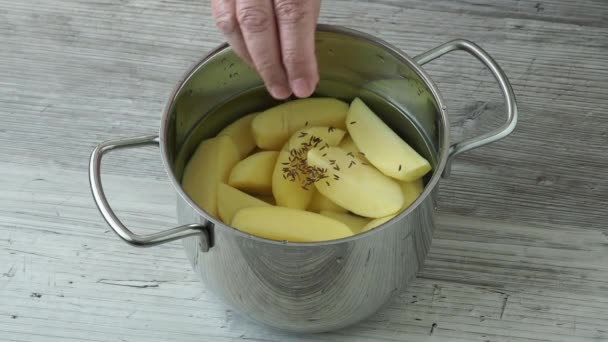 Raw Peeled Potatoes Pot Water Cooking — 图库视频影像