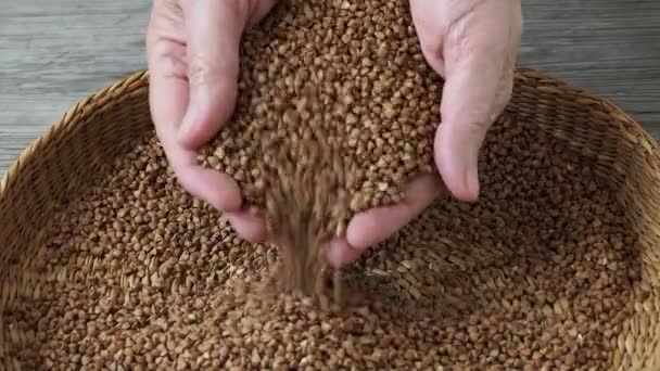 Hulled Common Buckwheat Grains Fagopyrum Esculentum Dried Seeds — Stock video