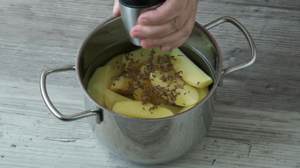 Сира Очищена Картопля Горщику Водою Перед Приготуванням — стокове відео
