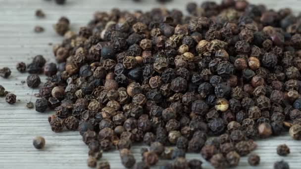 Peppercorns Black Pepper Plant Piper Nigrum — стоковое видео