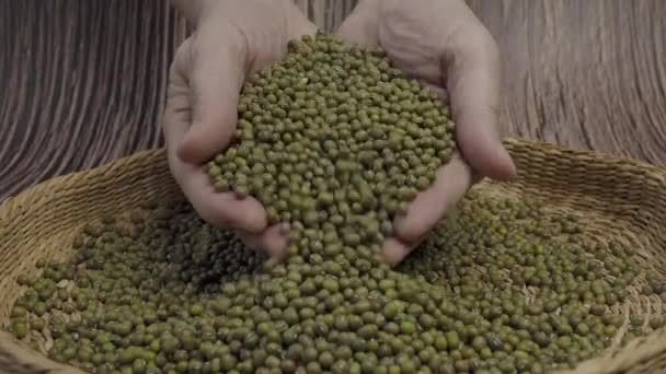 Pile Raw Green Mung Beans Vigna Radiata Seeds — Vídeo de Stock