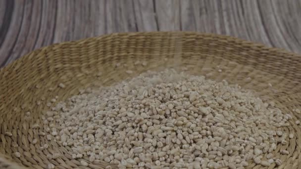 Dry Pearl Barley Wheat Grains Pearled Barley — Stockvideo
