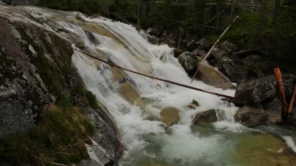 Naturskön Utsikt Över Vattenfallet Skogen — Stockvideo