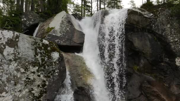 Szenische Ansicht Des Wasserfalls Wald — Stockvideo