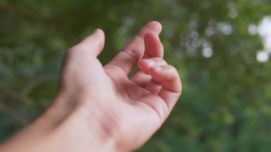 Bulanık Ağaçların Arkaplanında Mutlu Bir Kızın Elleri Güneş Işığına Uzanıyor. 4K