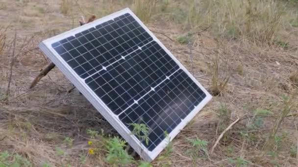En liten solcellspanel installerad i gräset med krypande insekter — Stockvideo