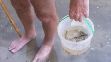 Balıkçı, Küçük Balıklı Bir Plastik Kova Tutuyor. 4K