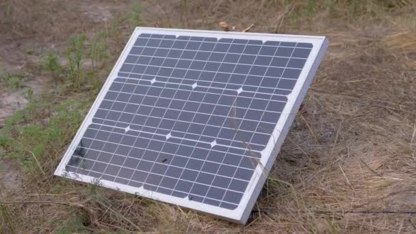 Een klein fotovoltaïsch zonnepaneel geïnstalleerd in het gras met kruipende insecten — Stockvideo