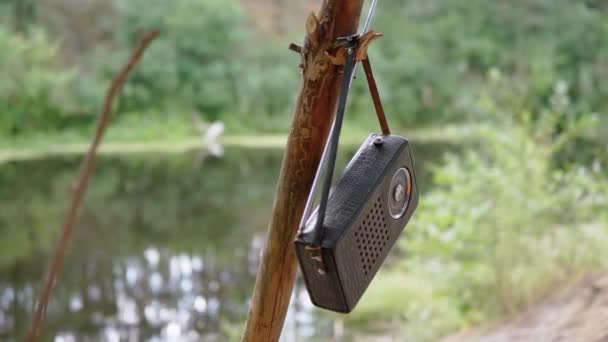 Старое антикварное радио в кожаном чехле на ветке дерева в лесу в природе — стоковое видео