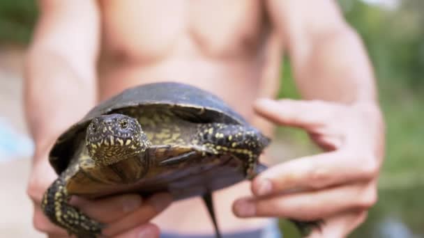 Naked Male Standing by the River Holding a Pond Turtle in Hands. 4K. Slow motion — Stock Video