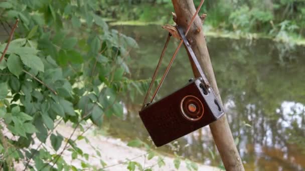 Gammal antikradio i ett läderfodral väger på en trädgren i skogen i naturen — Stockvideo