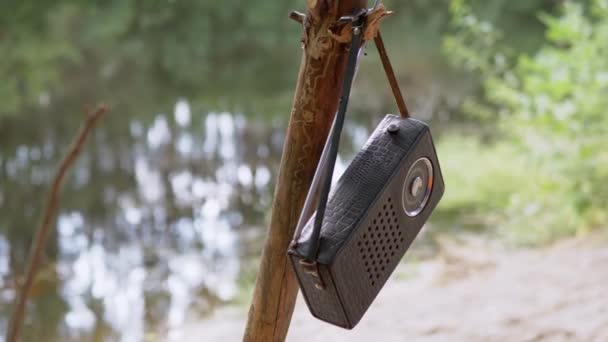 Altes antikes Radio im Lederetui wiegt in der Natur auf einem Ast im Wald — Stockvideo