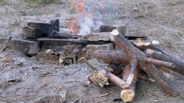 Çam Ormanı 'ndaki yanan şenlik ateşinin arka planındaki kuru odun yığını. 4K — Stok video
