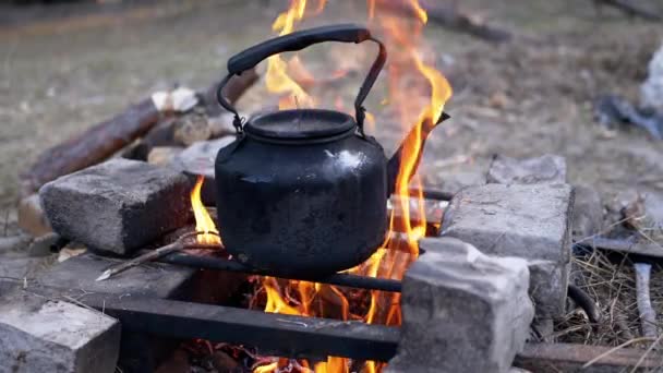 Old Smoked Black Teapot Warming Itself Over the Bonfire in Forest. Close up — Stock Footage Old Smoked Black Teapot Warming Itself Over the Bonfire in Forest. Close up Royalty Free Stock Footage
