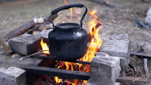 Old Smoked Black Teapot Warming Itself Over the Bonfire in Forest. 닫아 — 비디오