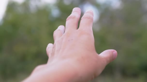 Hand of a Happy Girl sahá na sluneční světlo na rozmazaném pozadí stromů — Stock video