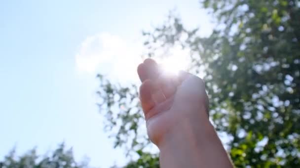 Egy boldog lány kezei kinyúlnak a napfényre a fák homályos hátterén. — Stock videók