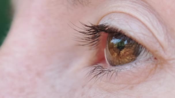 Female Brown Eye kijkt in de Camera Close-up. Zoom uit. Zijaanzicht. — Stockvideo