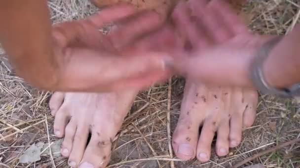 Exército de formigas marrons está rastejando em pernas nuas humanas em pé na grama. Movimento lento — Vídeo de Stock