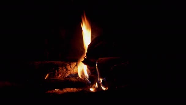 Luminoso falò fiammeggiante con dissolvenza della fiamma nella foresta notturna all'aperto. 4K — Video Stock