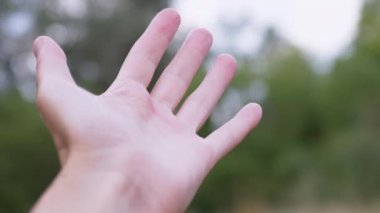 Mutlu bir kızın eli Ağaçların bulanık Arkaplanında Güneş ışığına uzanır