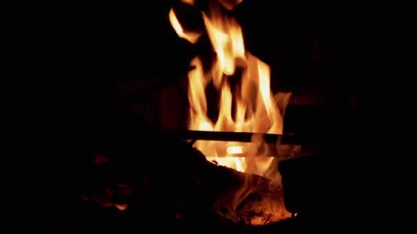Luminoso falò fiammeggiante con dissolvenza della fiamma nella foresta notturna all'aperto. Zoom — Video Stock