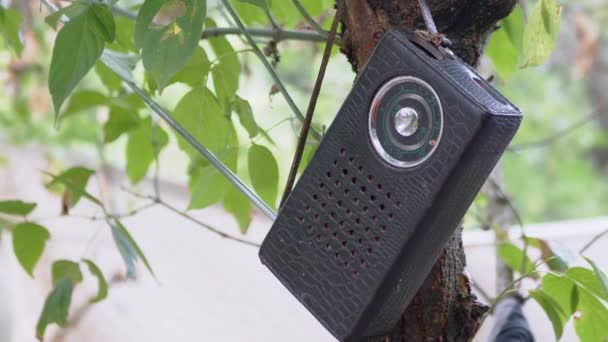 自然の中で木の枝に革ケースの重さで古いアンティークラジオ。ズーム — ストック動画