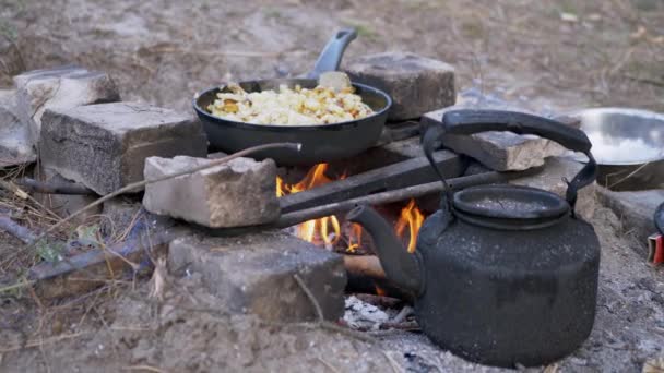 Готовить жареный картофель на сковороде у костра в лесу. 4К. Закрыть — стоковое видео