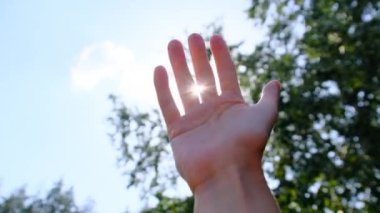 Mutlu Bir Kızın Elleri Bulanık Ağaçların Arkaplanındaki Güneşe Uzanıyor.