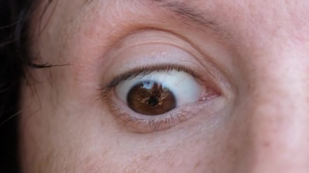 Komiska kvinnliga bruna ögon Titta på kameran, roterar i olika riktningar — Stockvideo
