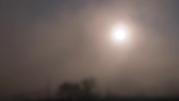 Luz brillante del sol naciente irrumpe a través de la niebla matutina gruesa. 4K. De cerca. — Vídeo de stock