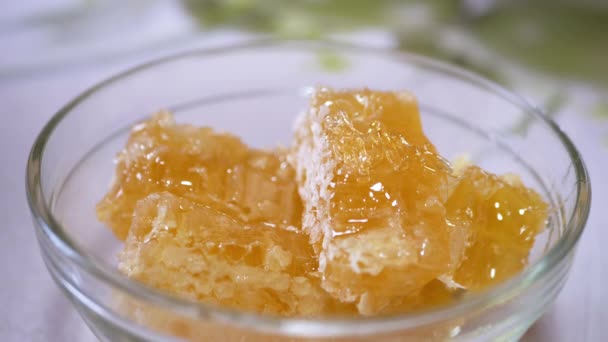 O mel natural espesso está derramando em um fluxo fino em uma tigela de vidro em um favo de mel — Vídeo de Stock