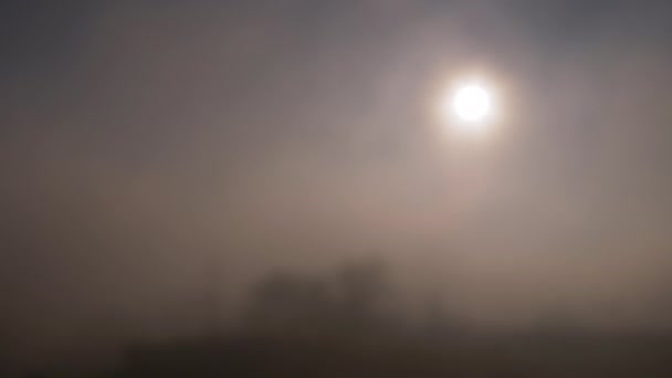 La lumière vive du soleil levant se brise à travers un épais brouillard matinal. 4K. Gros plan — Video