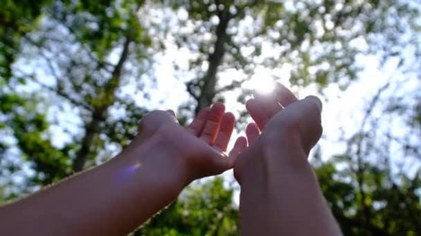 Mãos de uma menina feliz chega à luz do sol em um fundo borrado de árvores. — Vídeo de Stock
