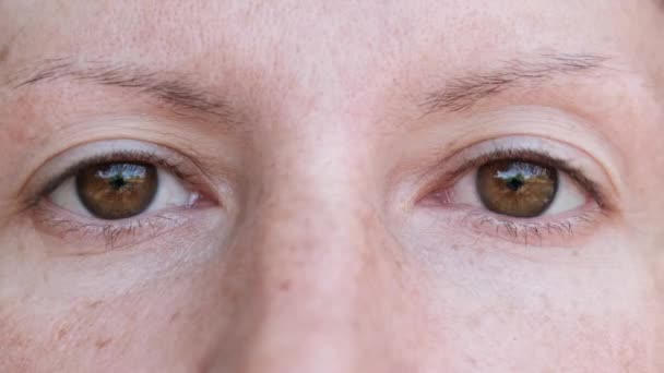 Komische vrouwelijke bruine ogen kijken naar de camera, draaien in verschillende richtingen — Stockvideo