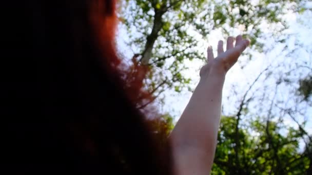 Hands of a Happy Girl Reaches Out to Sunlight at Sunset (en inglés). De cerca. Movimiento lento — Vídeos de Stock