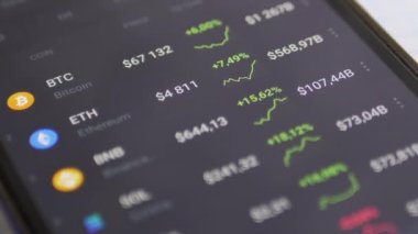 Ekran Akıllı Telefonu Uygulamasında Kripto Para Fiyatının Grafik Dinamiği. Büyüt