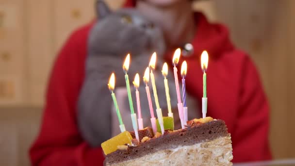 Женщина держит серого домашнего кота на руках возле горящих свечей на торте. Zoom — стоковое видео