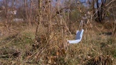 Çöpe atılmış, kullanılmış bir tıbbi maske Ormandaki Kuru Ağaç dalında sallanıyor