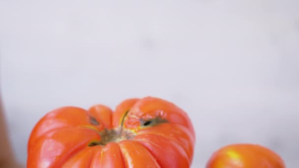 Comparação de tomate geneticamente modificado versus convencional. 4K. Fechar — Vídeo de Stock