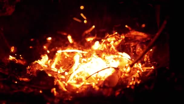 Cărbuni roșii muribunzi într-un foc deschis spumant. De aproape. Slow motion — Videoclip de stoc