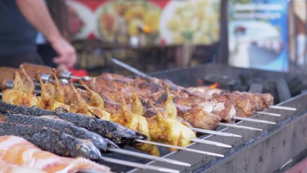 Soczyste apetyt wieprzowina Kebab jest smażona w dym na grillu, nad otwartym ogniu — Wideo stockowe