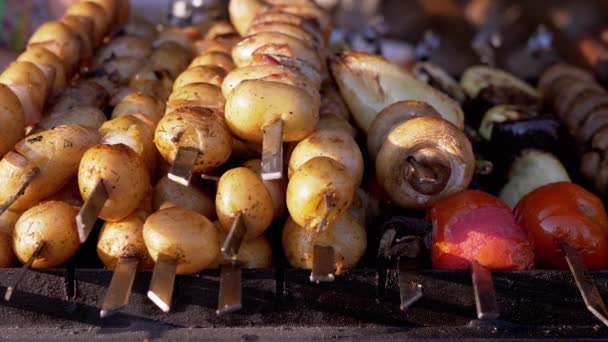 Un montón de brochetas de verduras a la parrilla listo se encuentra en el mostrador. De cerca. Zoom: — Vídeos de Stock