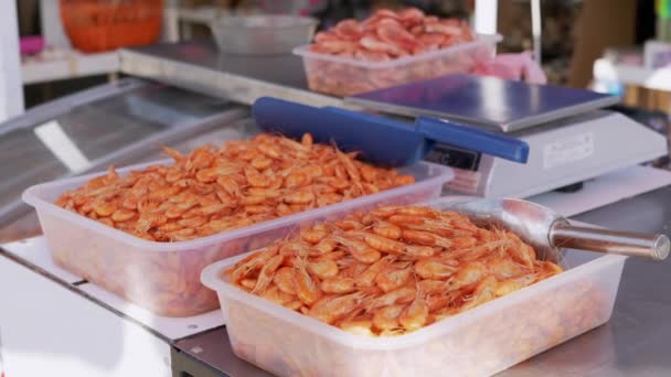 Vařené červené krevety Lež jsou v plastových krabicích na prodej na otevřeném pultu na trhu — Stock video