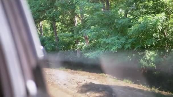 Blick aus dem offenen Fenster eines Autos auf grünen dichten Laubwald. Zeitlupe — Stockvideo
