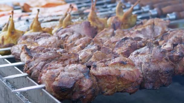 Suculento porco apetitoso e frango Kebabs frito em fumaça na grelha. Fechar — Vídeo de Stock