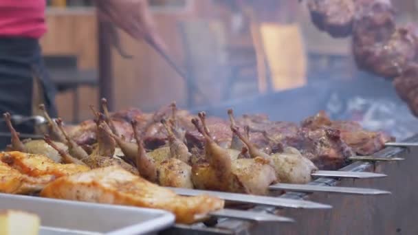 豚肉、鶏肉、魚からの調理ジューシーなバーベキューオープンエアでグリル. — ストック動画