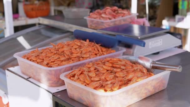 Вареные красные креветки лежат в пластиковых коробках для продажи на открытом счетчике на рынке — стоковое видео