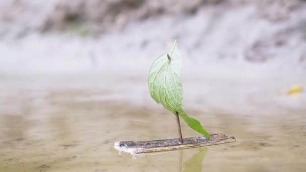 Een kleine zelfgemaakte kinderboot drijft met de rivier. 4K. Sluiten. — Stockvideo