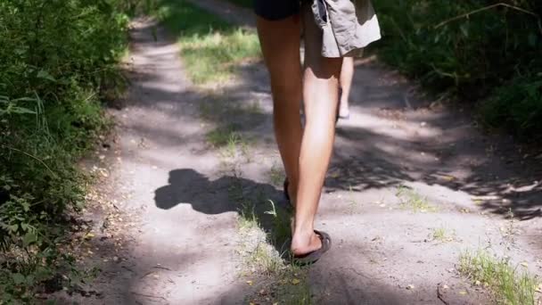 Pai e filho estão caminhando ao longo de um caminho arenoso em uma floresta verde. Movimento lento — Vídeo de Stock